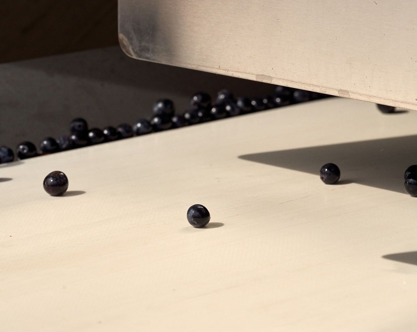 Sorting table with grapes rolling over it, a few grapes isolated.