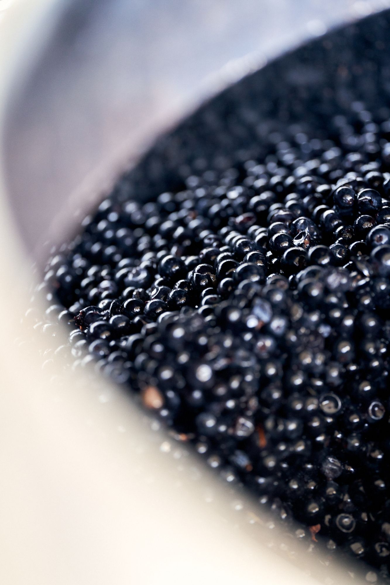 Close-up of a stainless steel cuvon full of grapes.