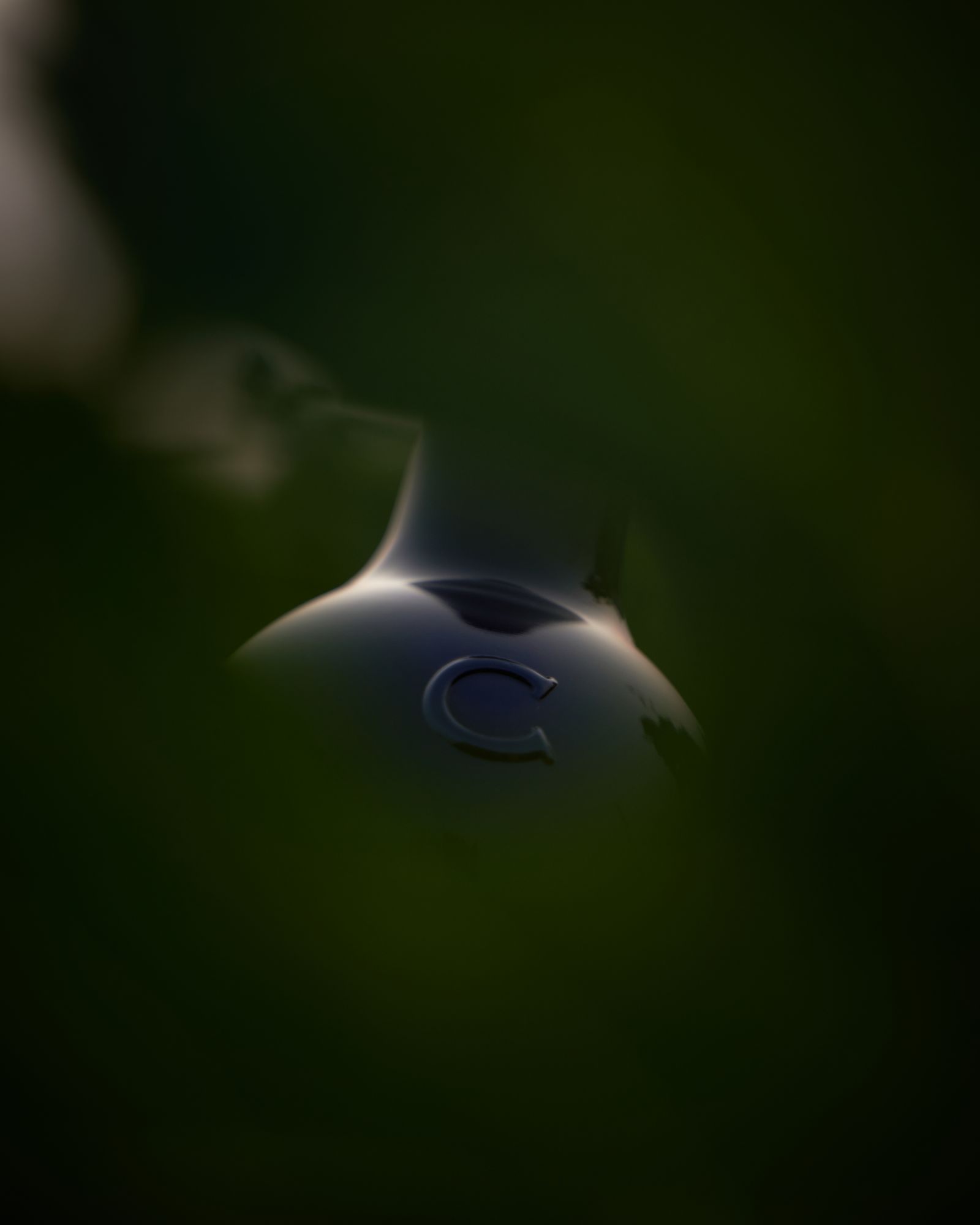 Clinet bottle amongst the vines, C logo visible between the leaves.