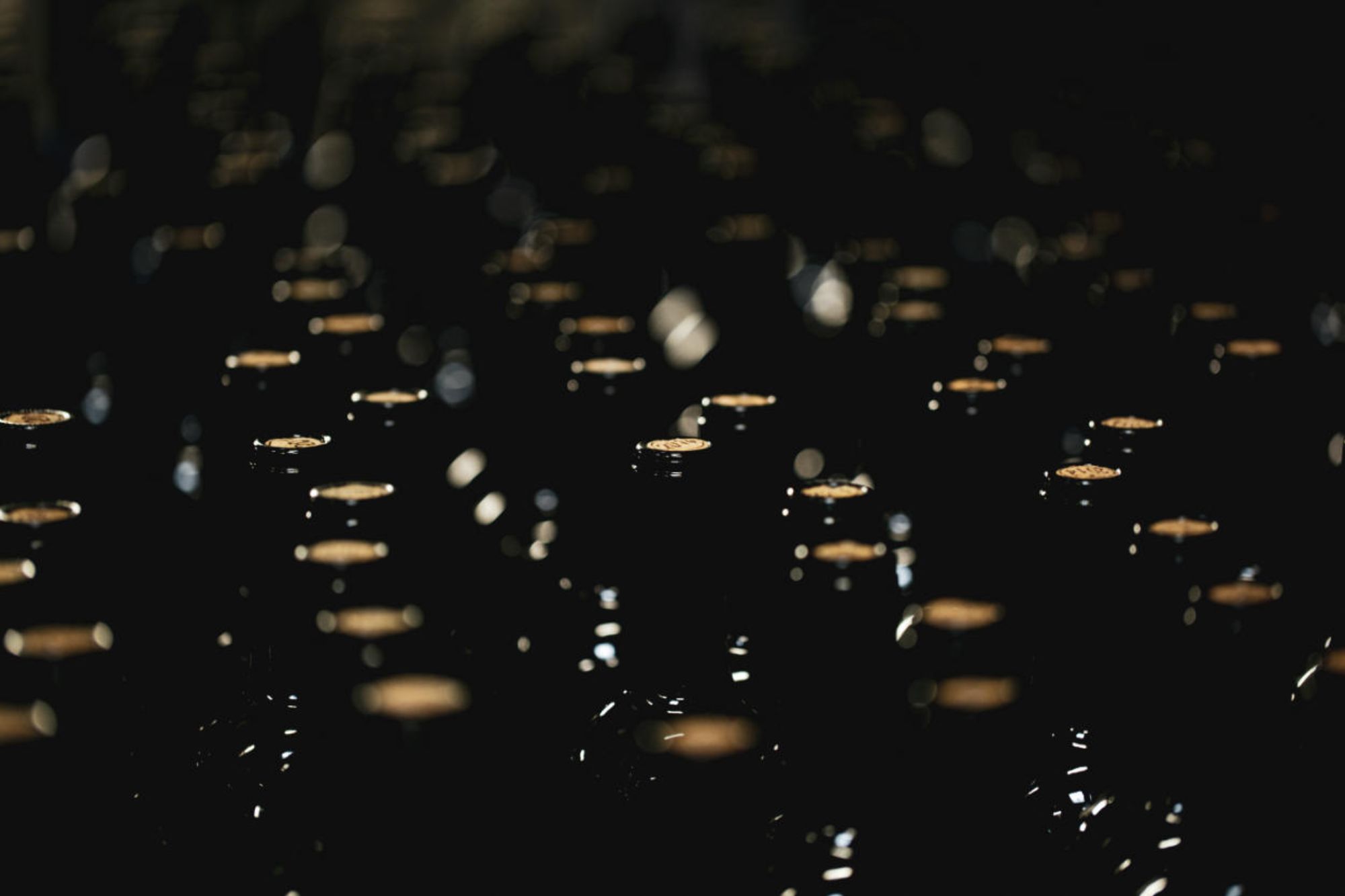 View through the necks of a group of bottles of wine waiting to be labelled.