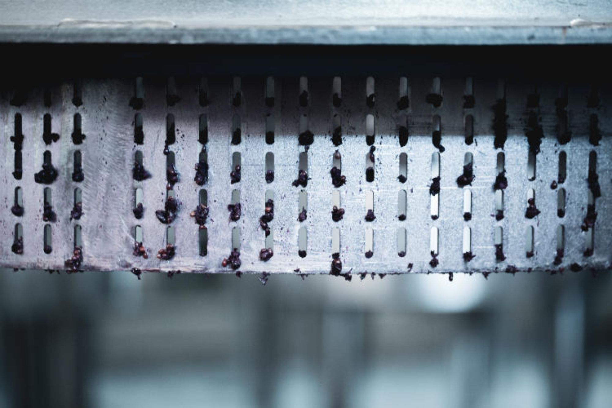 Close up of a wine press, grapes deposit stuch in grill.